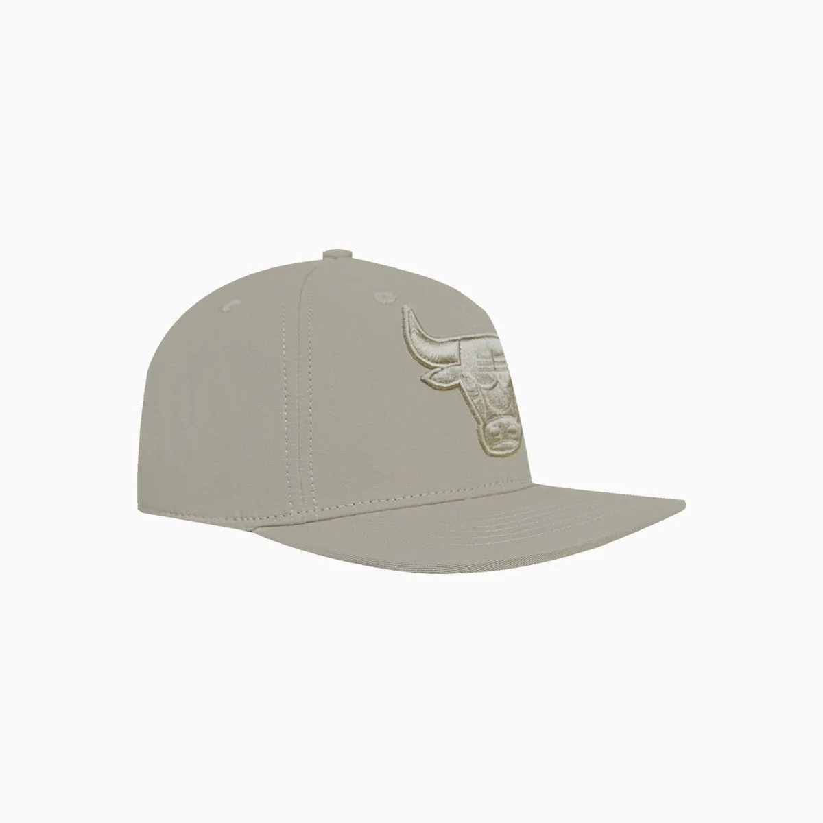 Chicago Bulls Neutral NBA Wool Snapback Hat