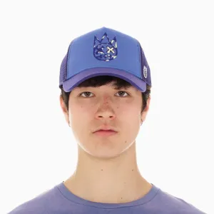 Clean Logo Mesh Back Trucker Curved Visor Hat