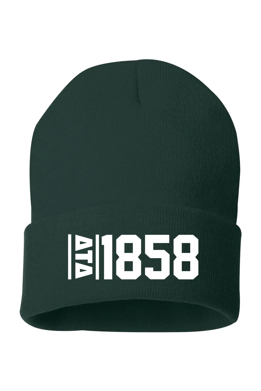 Established Beanie