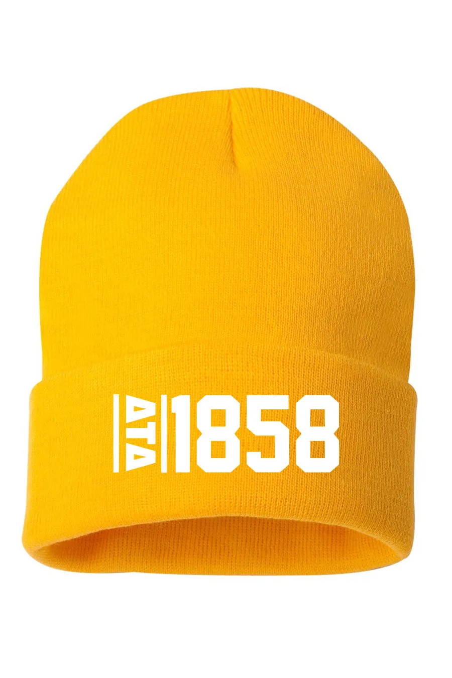Established Beanie