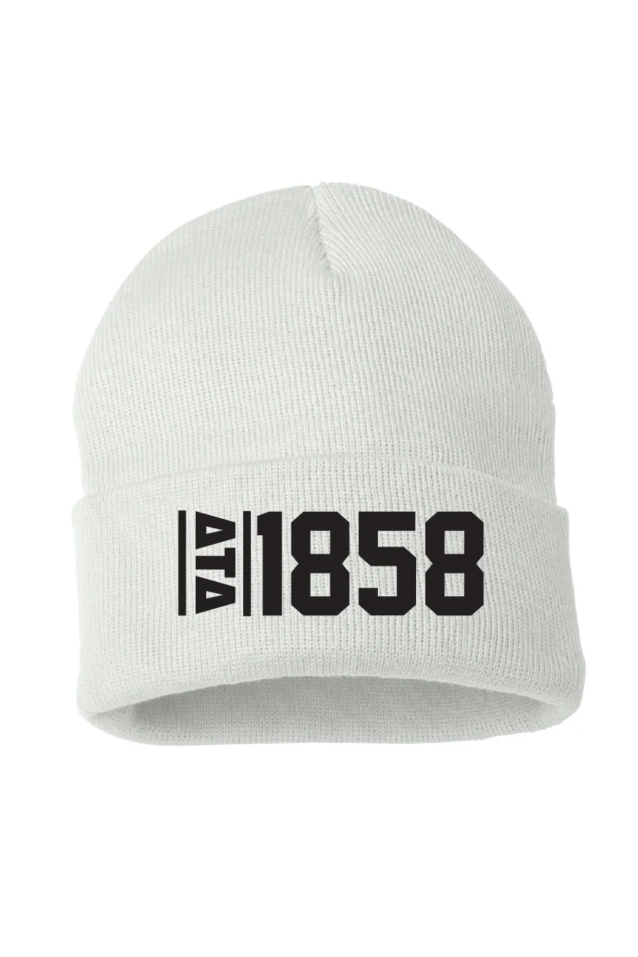 Established Beanie