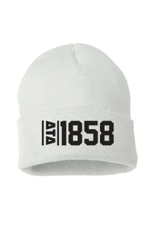 Established Beanie