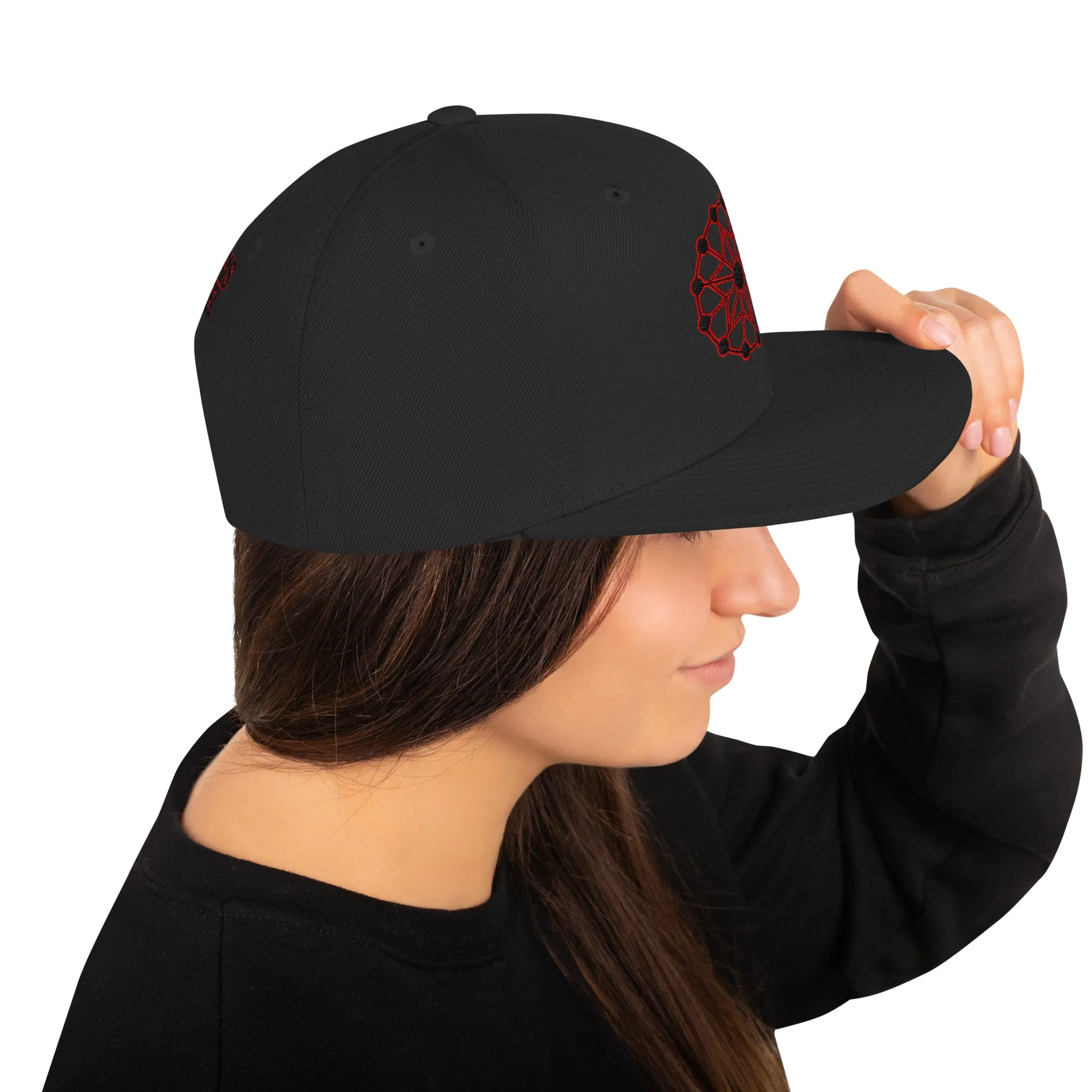 Farris Wheel 3D Wheel Snapback Hat