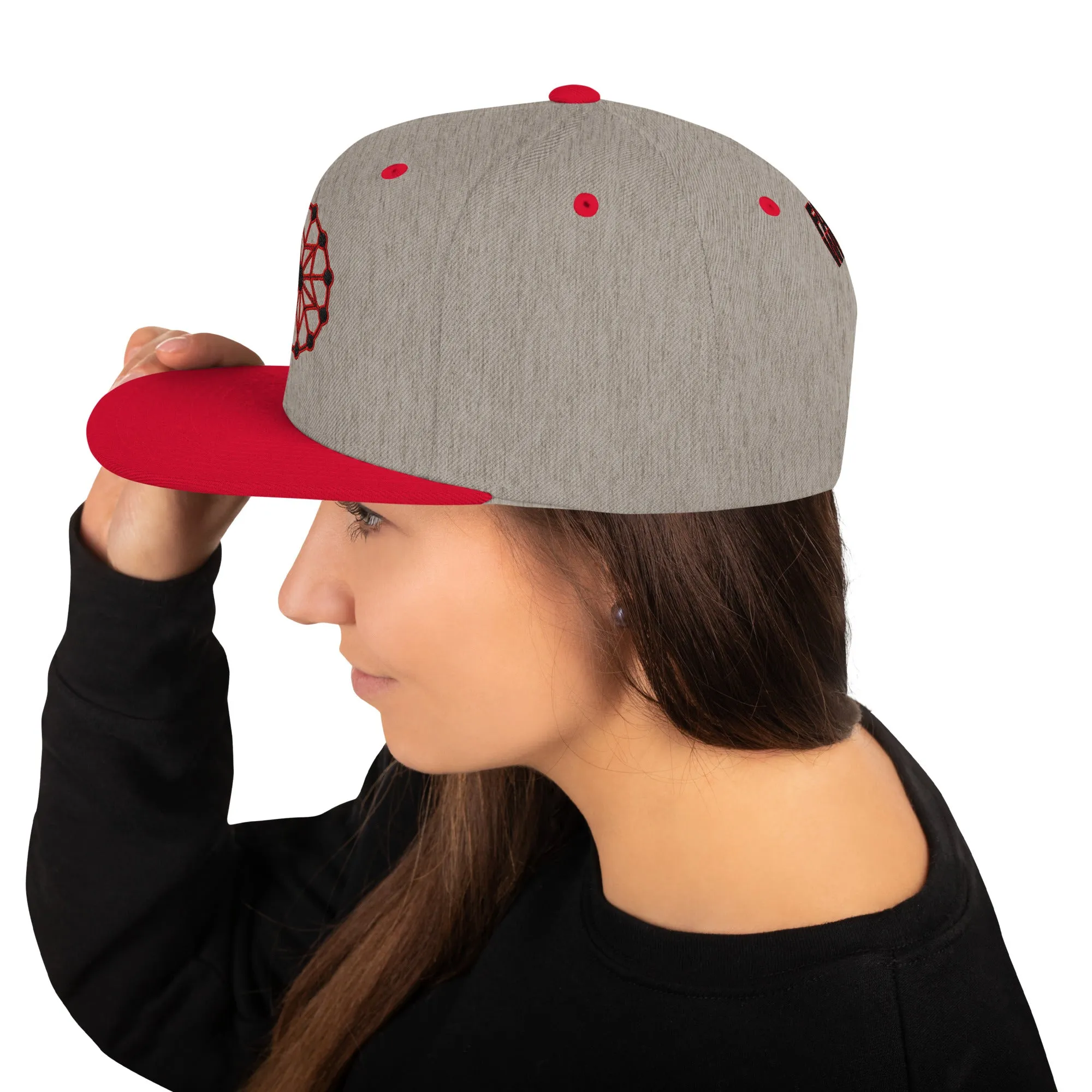 Farris Wheel 3D Wheel Snapback Hat
