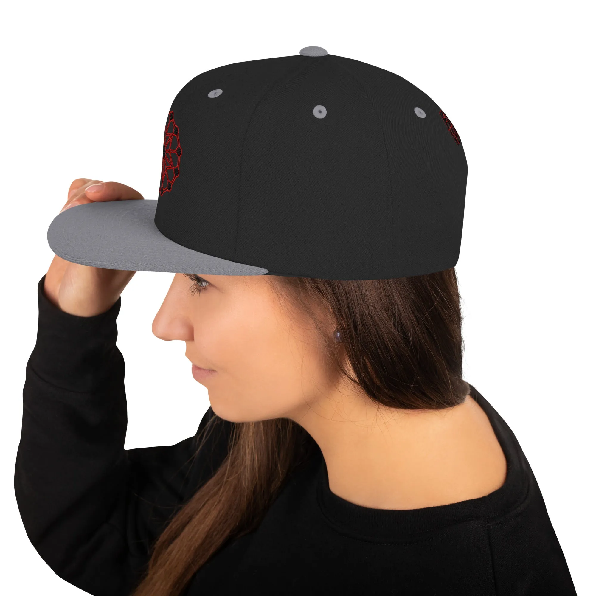 Farris Wheel 3D Wheel Snapback Hat