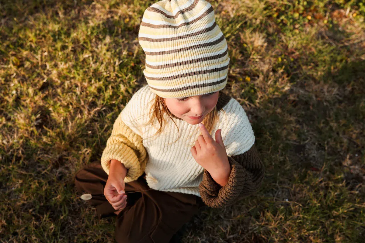 Knitted Stripe Beanie Clay Lime