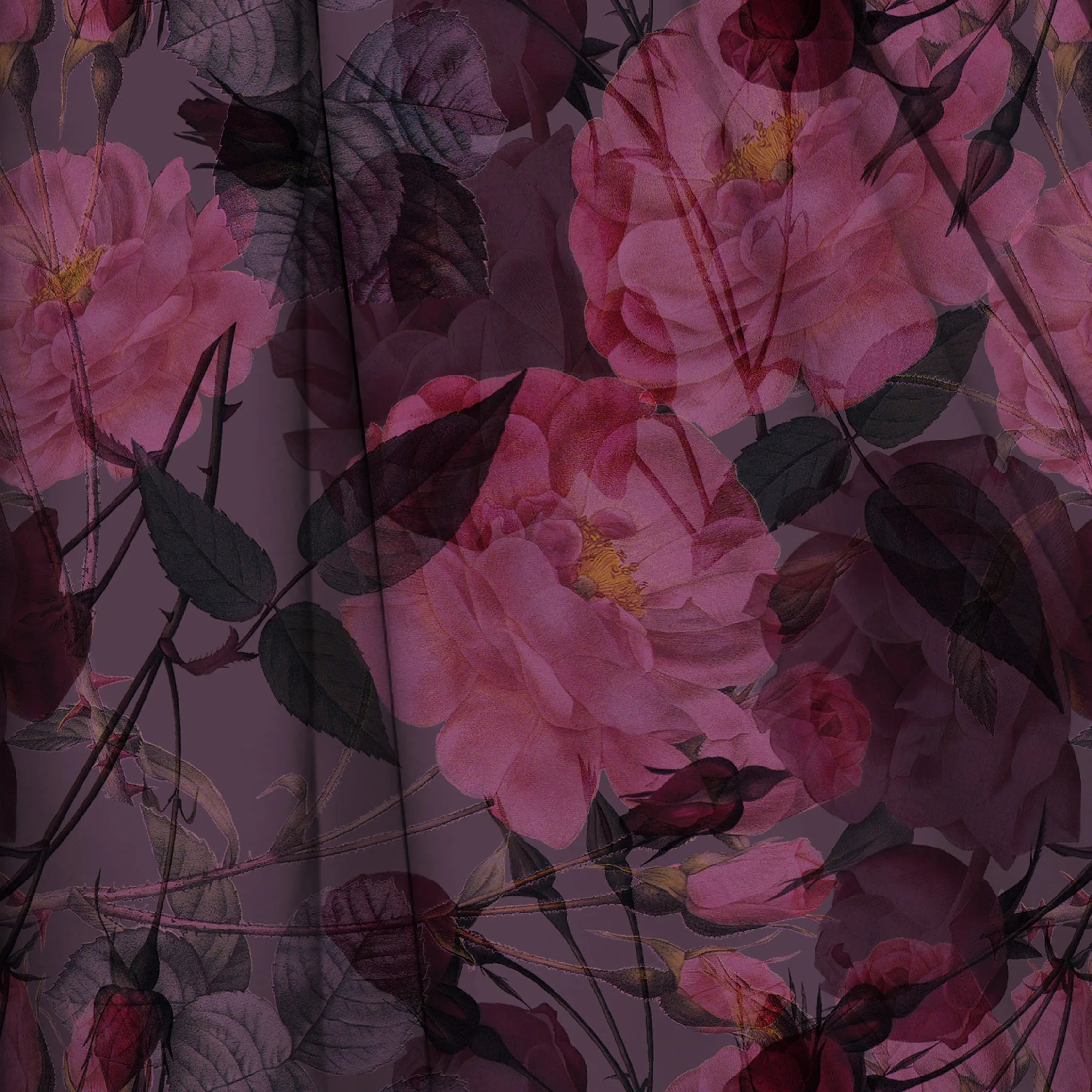 MYP414 C3 PLUM-AZELIA