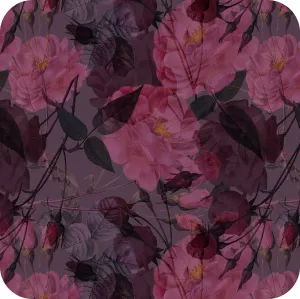 MYP414 C3 PLUM-AZELIA