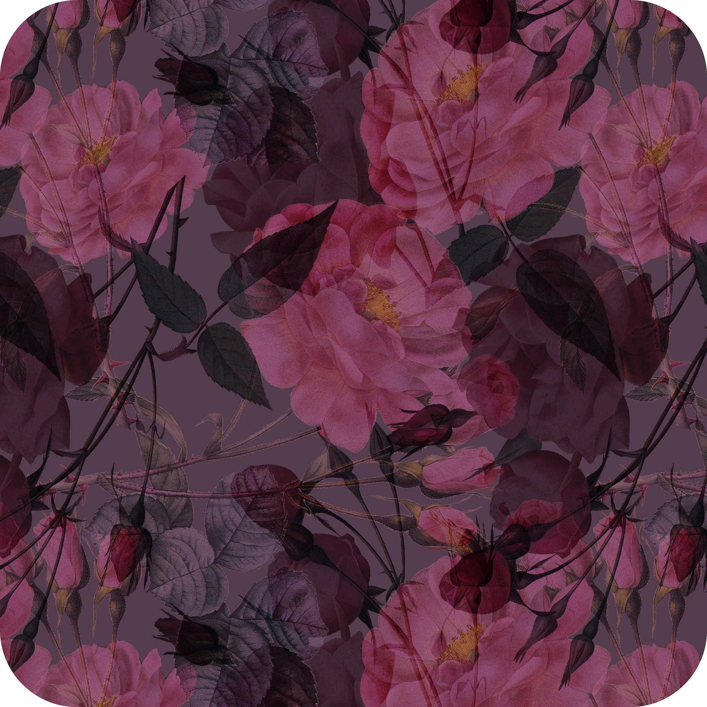MYP414 C3 PLUM-AZELIA