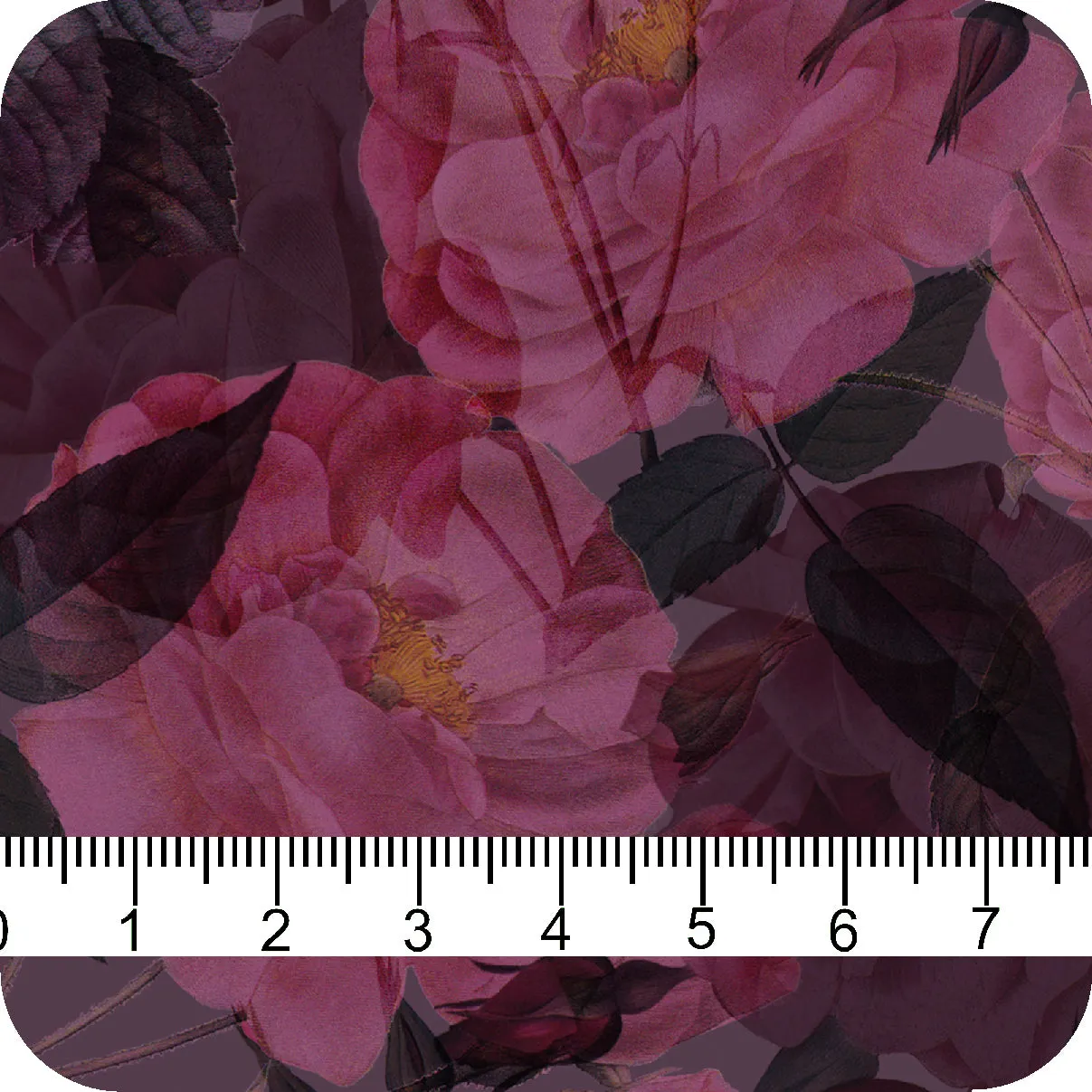 MYP414 C3 PLUM-AZELIA