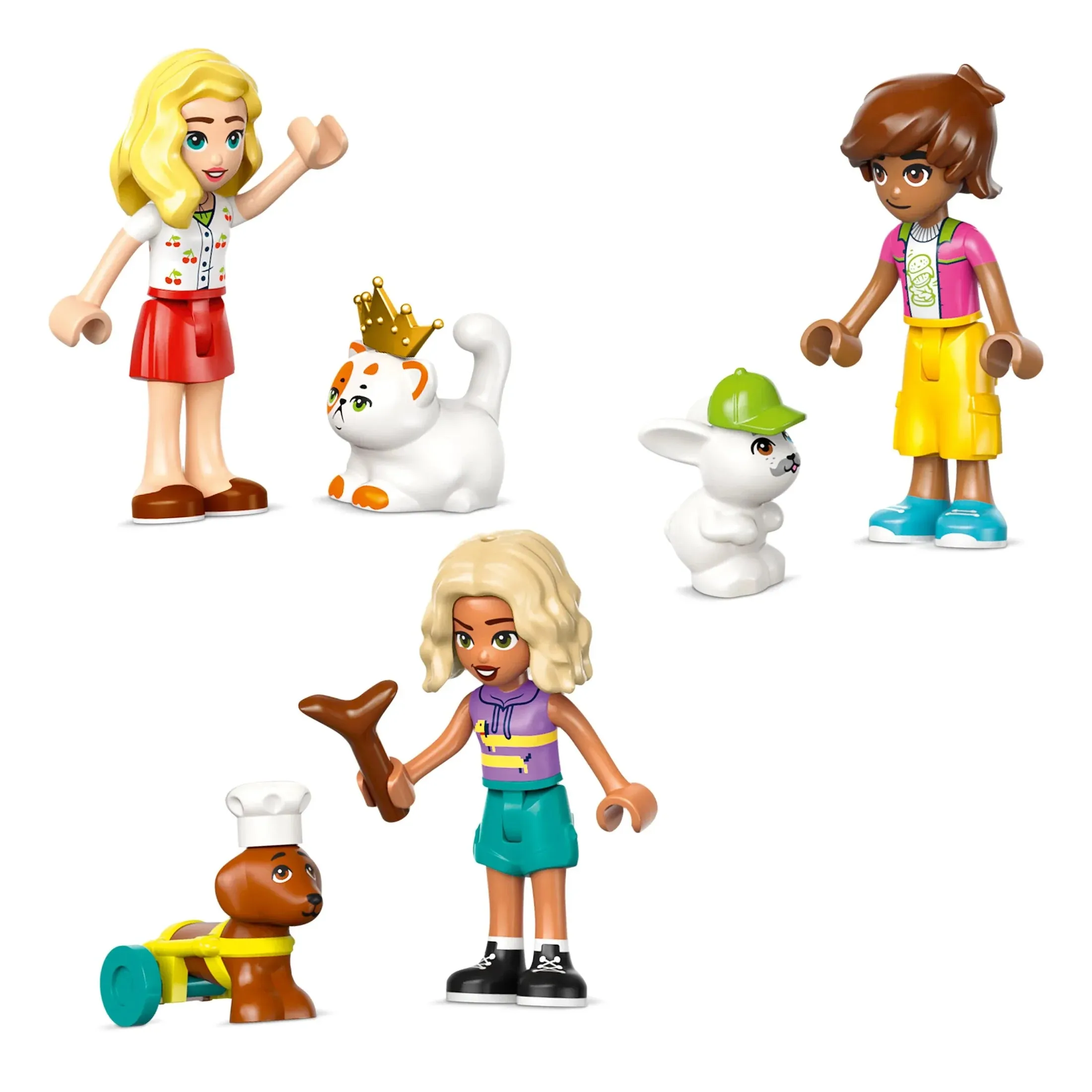 Pet Accessories Shop