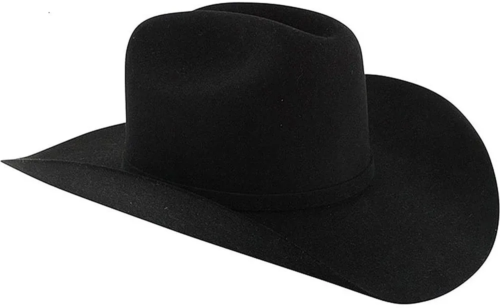 Stetson Men's Apache Buffalo Wool Western Hat