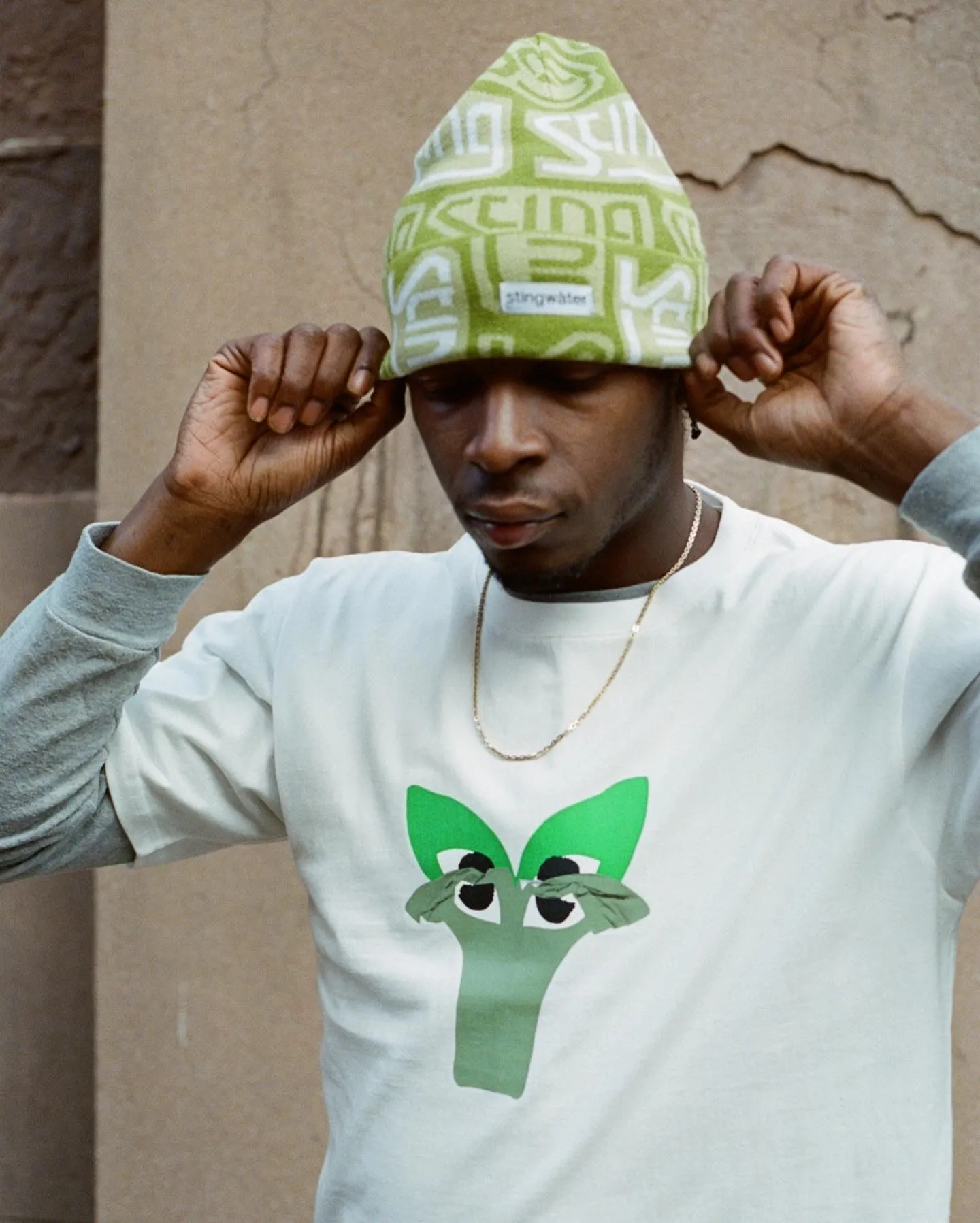 Stingwater Gaseous Logo beanie alkaline beanie