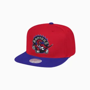 Toronto Raptors Wool 2 Tone NBA Snapback Hat